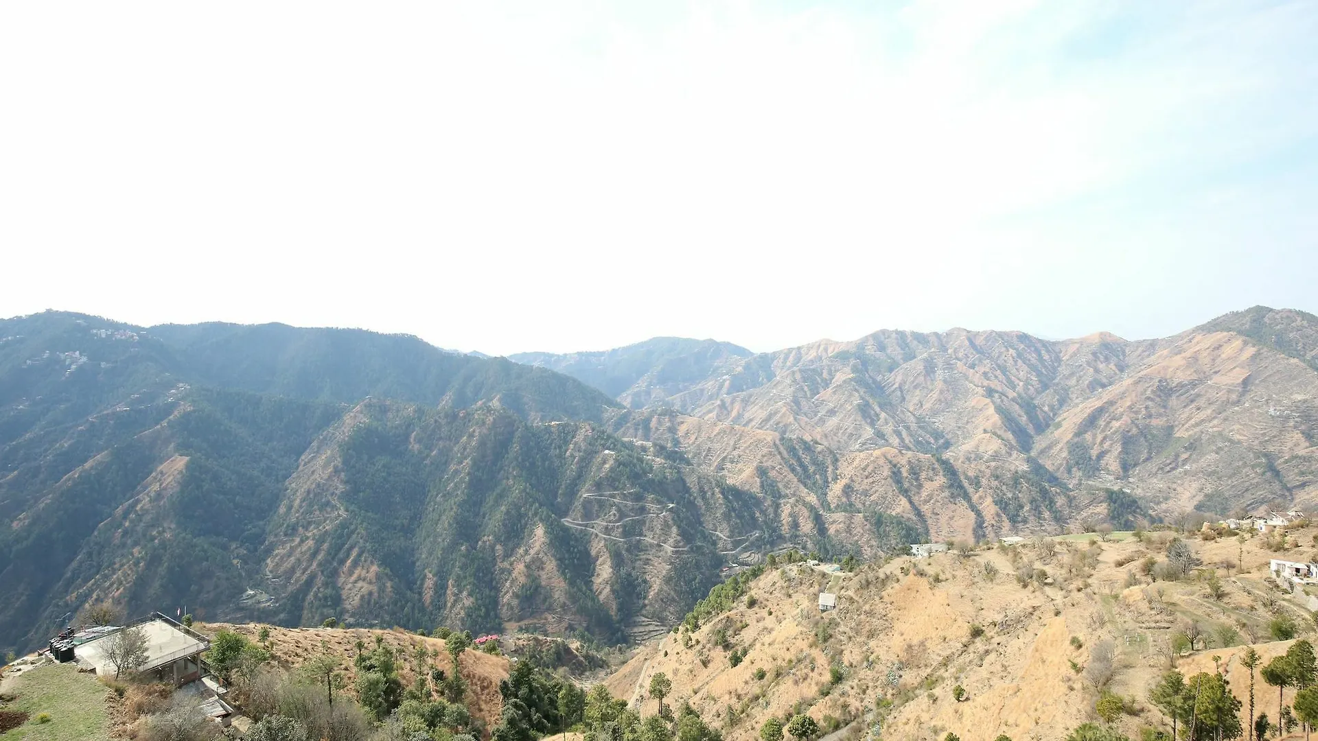 Oyo 11892 Home 2Rk Shimla Hills Homestay India